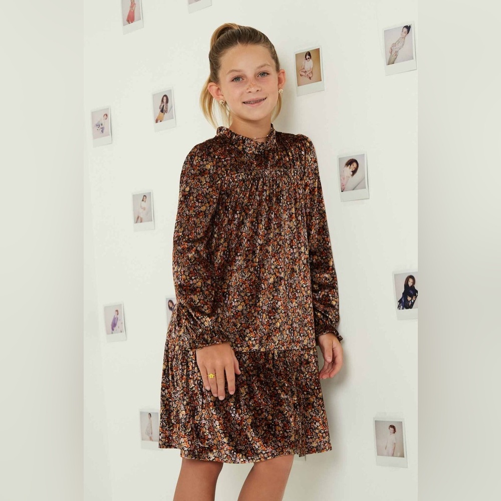 Hayden Girls Textured velvet,tiered, brown floral long Sleeve Dress size Large